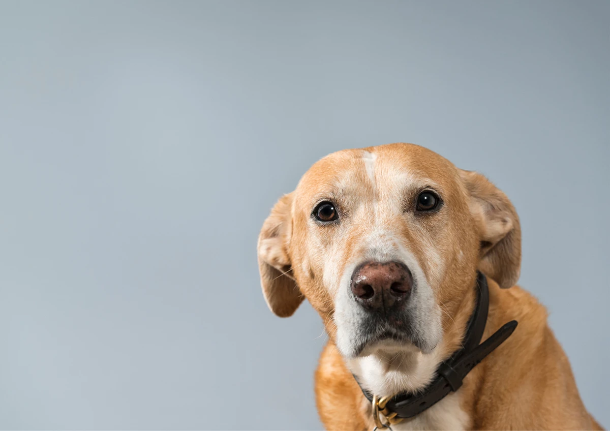 Onkologija (2) Onkologija (2)