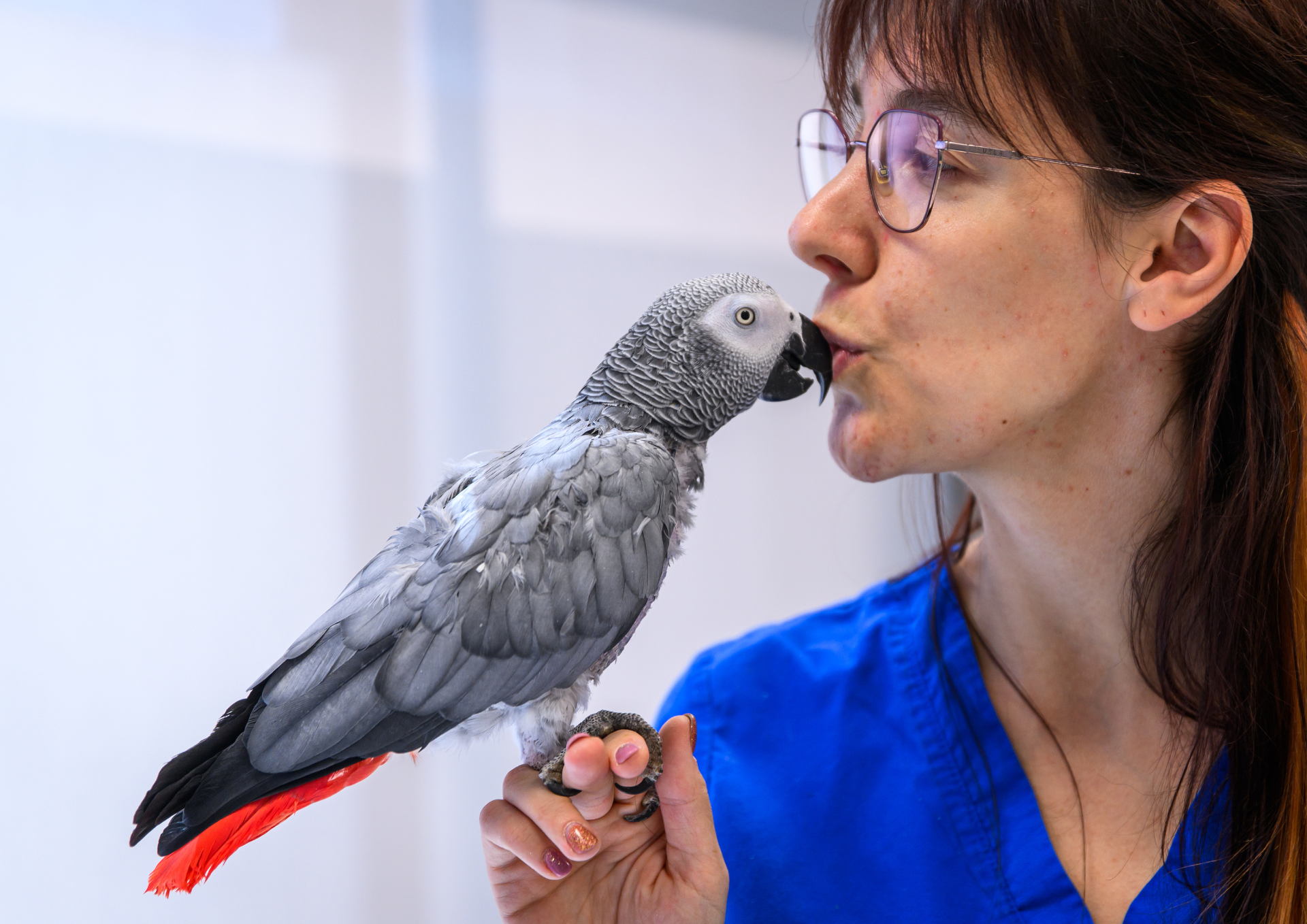 papiga veterinar